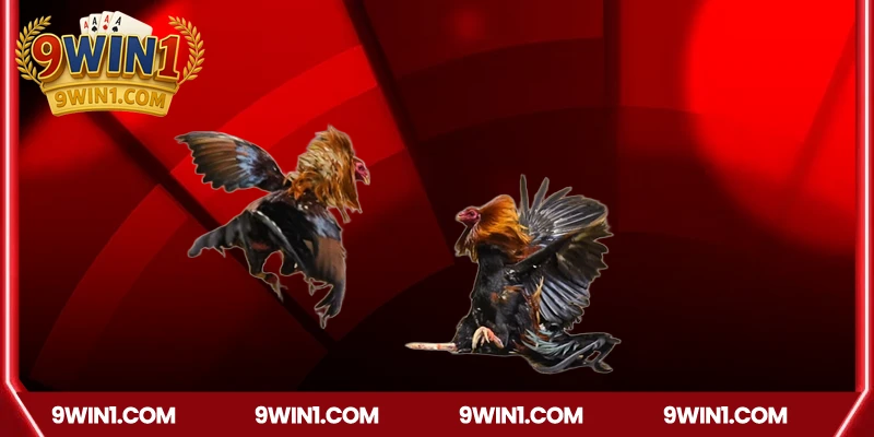 Sự đa dạng trong sản phẩm tại 9win