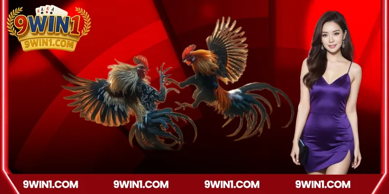 Ưu điểm vượt trội của nhà cái 9win